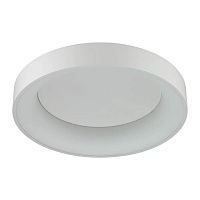 потолочный светодиодный светильник odeon light sole 4062/50cl в Астрахани