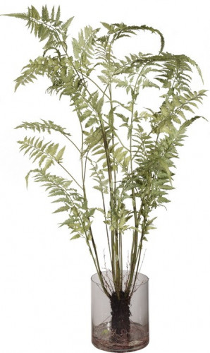 декор fern в Астрахани