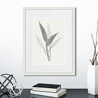 картина: the fern collection №6 в Астрахани