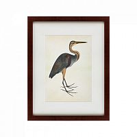 картина: heron (литография), 1822 в Астрахани